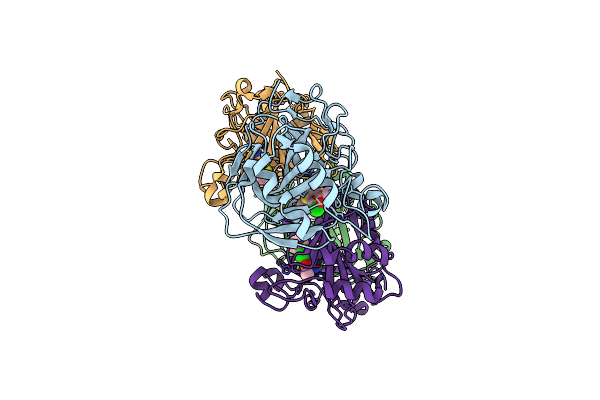 7POM image