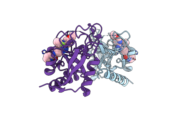 7POX image