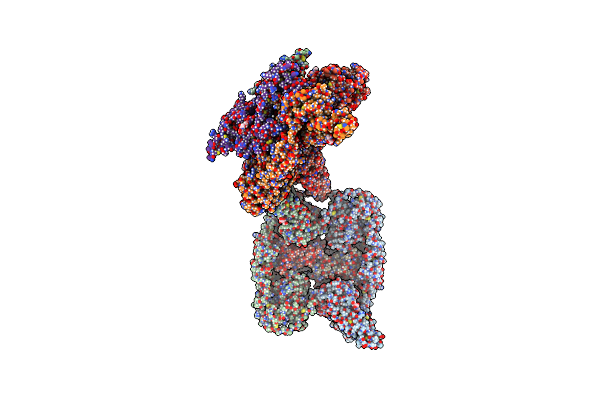 7PP6 image
