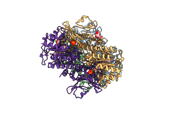 7PPI image