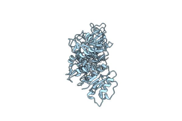 7PPJ image