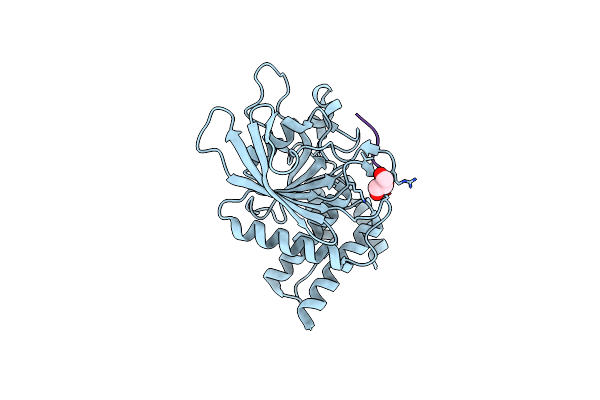 7PPM image