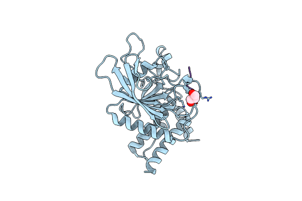 7PPN image
