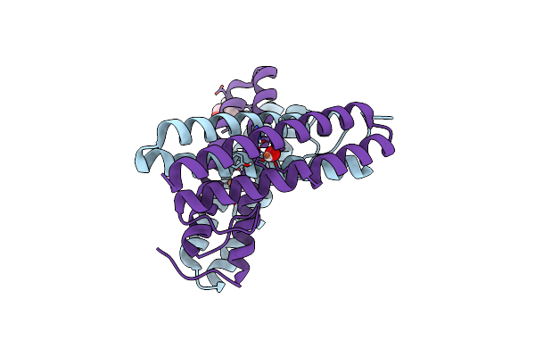 7PPT image