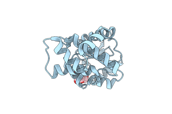 7PQ8 image