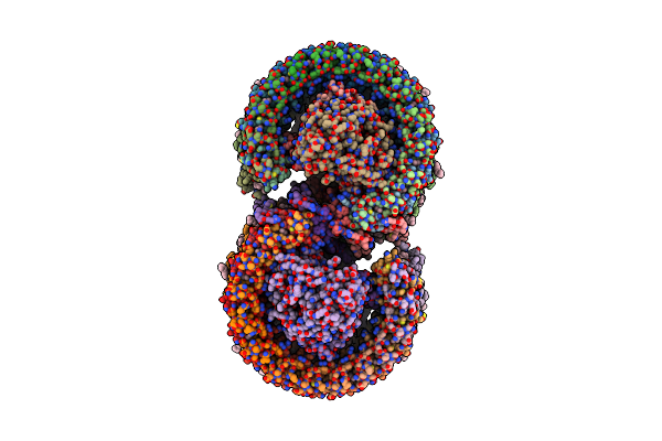 7PQD image