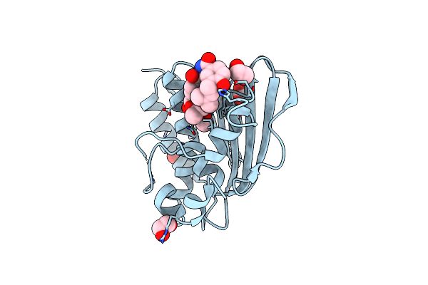7PQI image