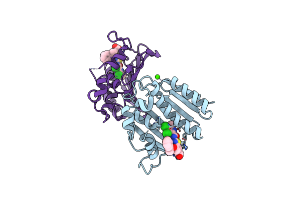 7PQM image
