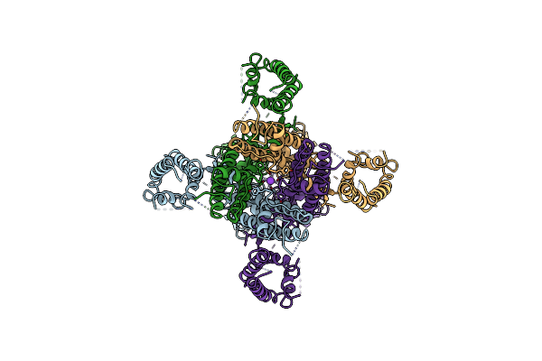 7PQT image