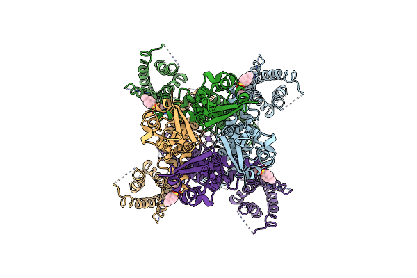 7PQU image