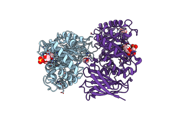 7PRB image