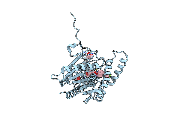 7PRM image