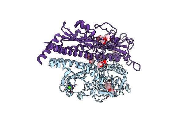 7PRR image