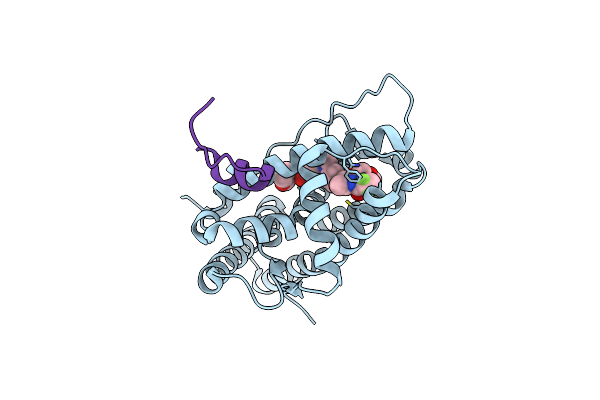 7PRX image