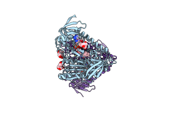 7PSC image