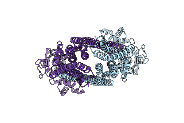 7PSD image