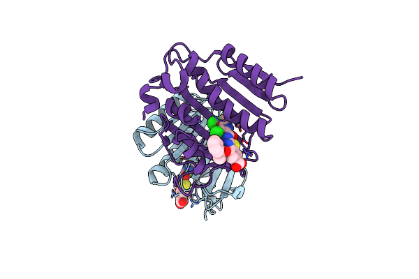 7PTG image