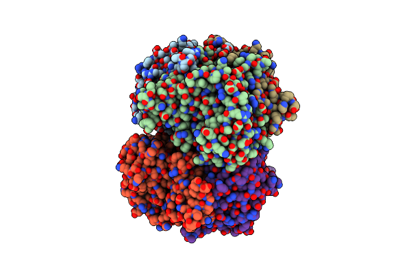 7PTM image