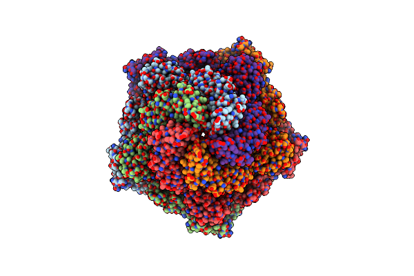 7PTP image