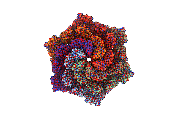 7PTT image