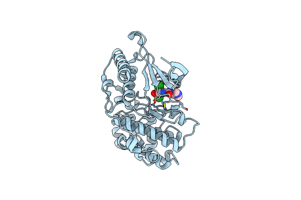 7PUS image