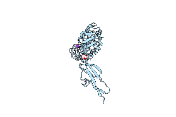 7PV8 image