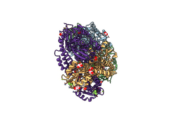 7PVA image