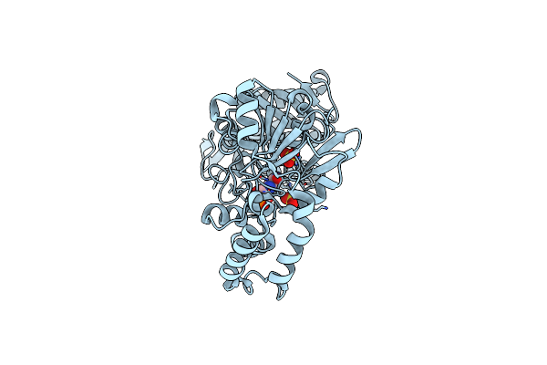 7PVO image