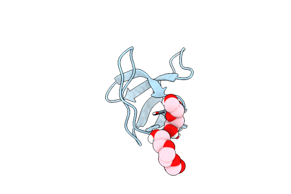 7PVV image