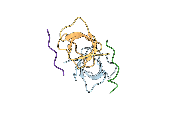 7PVX image
