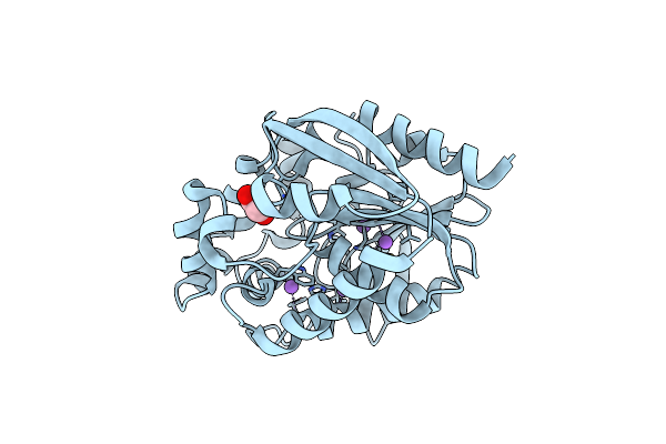 7PW1 image