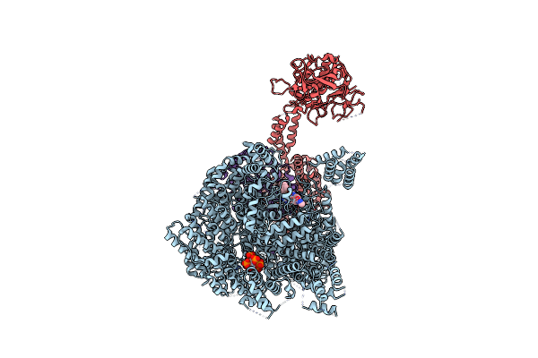 7PW5 image