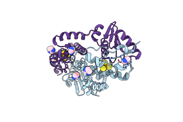 7PWE image