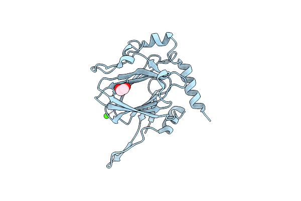 7PWI image
