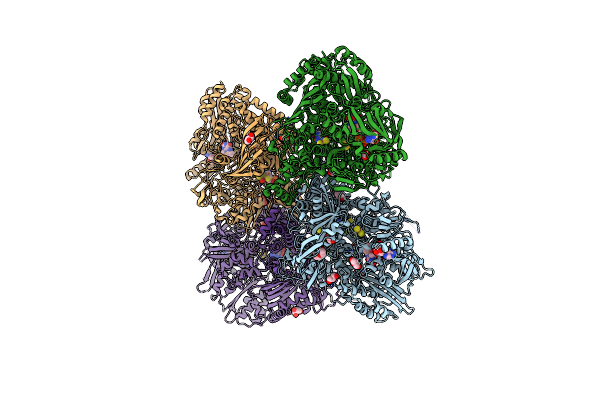 7PX0 image
