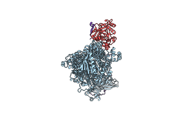 7PX3 image