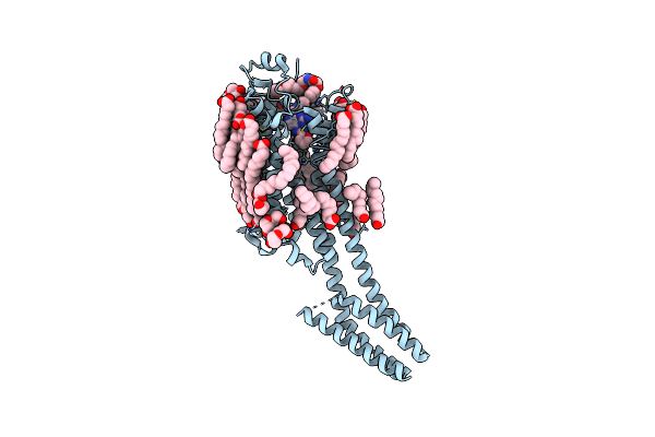 7PX4 image