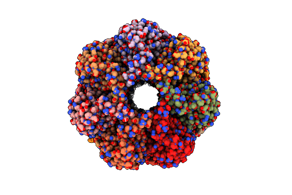 7PXA image