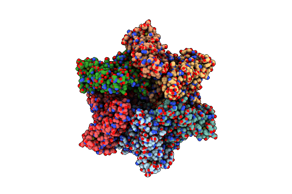7PXB image