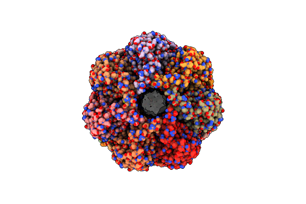 7PXC image