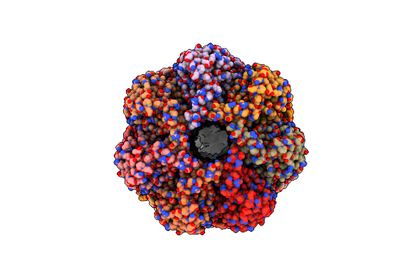 7PXD image