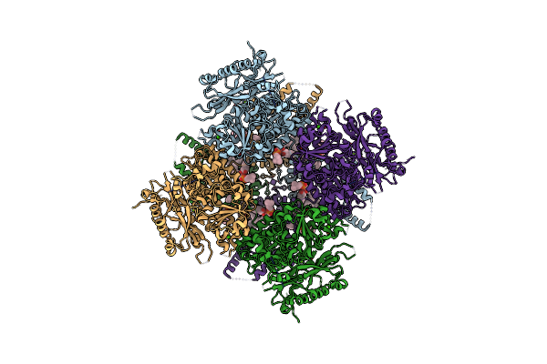 7PXE image