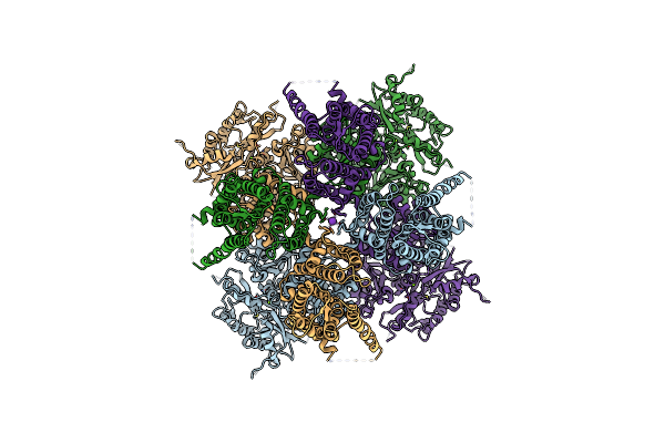 7PXF image