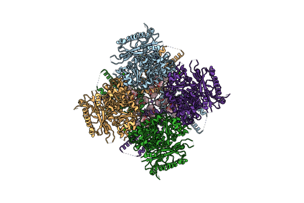 7PXG image