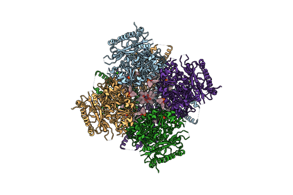 7PXH image