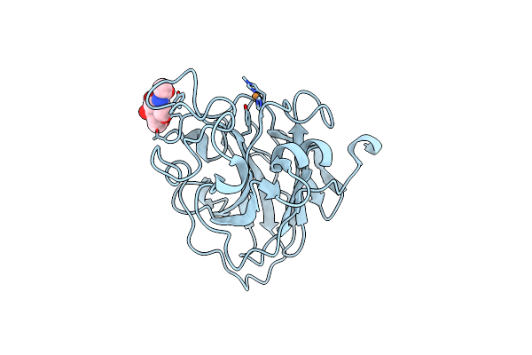7PXK image