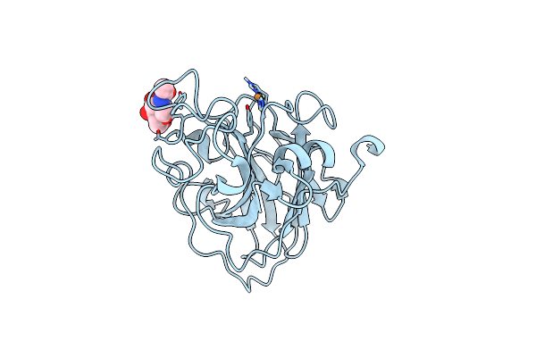 7PXM image