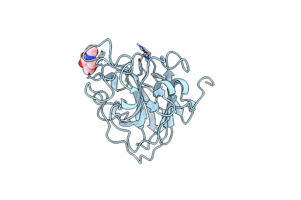7PXN image