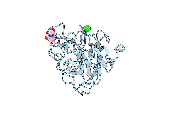 7PXR image