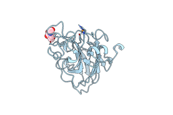 7PXS image
